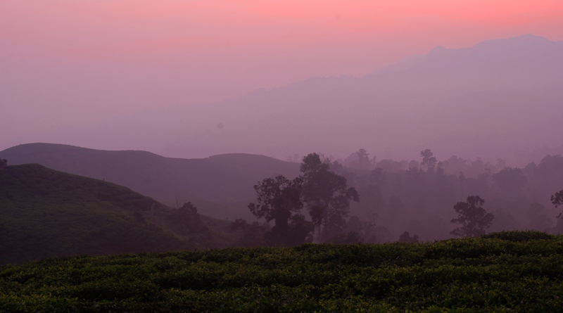 TN GUNUNG HALIMUN – SALAK: PESONA HUTAN BERKABUT