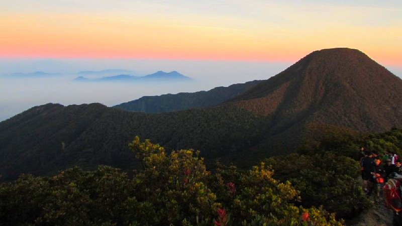 GUNUNG GEDE – PANGRANGO: PESONA EDELWEIS JAWA DI DASAR KALDERA PURBA